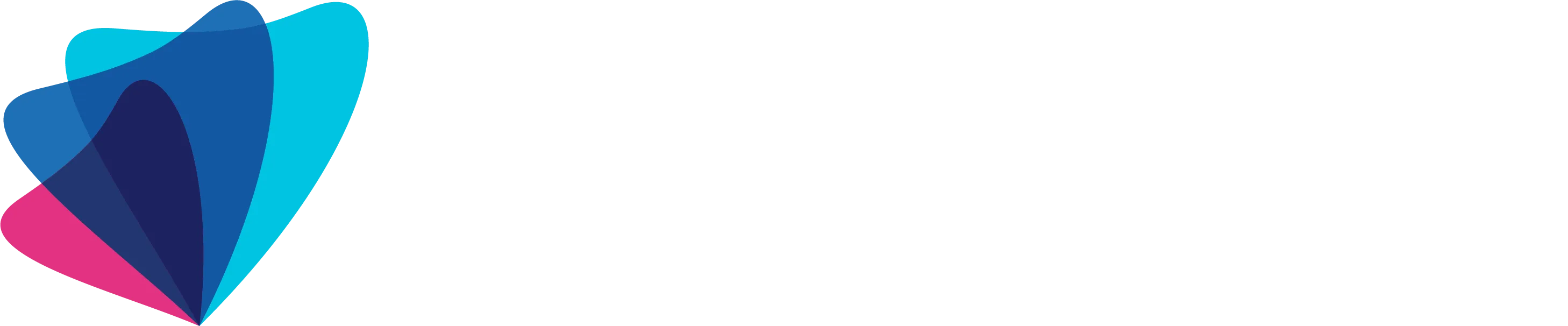 Wemedoo logo